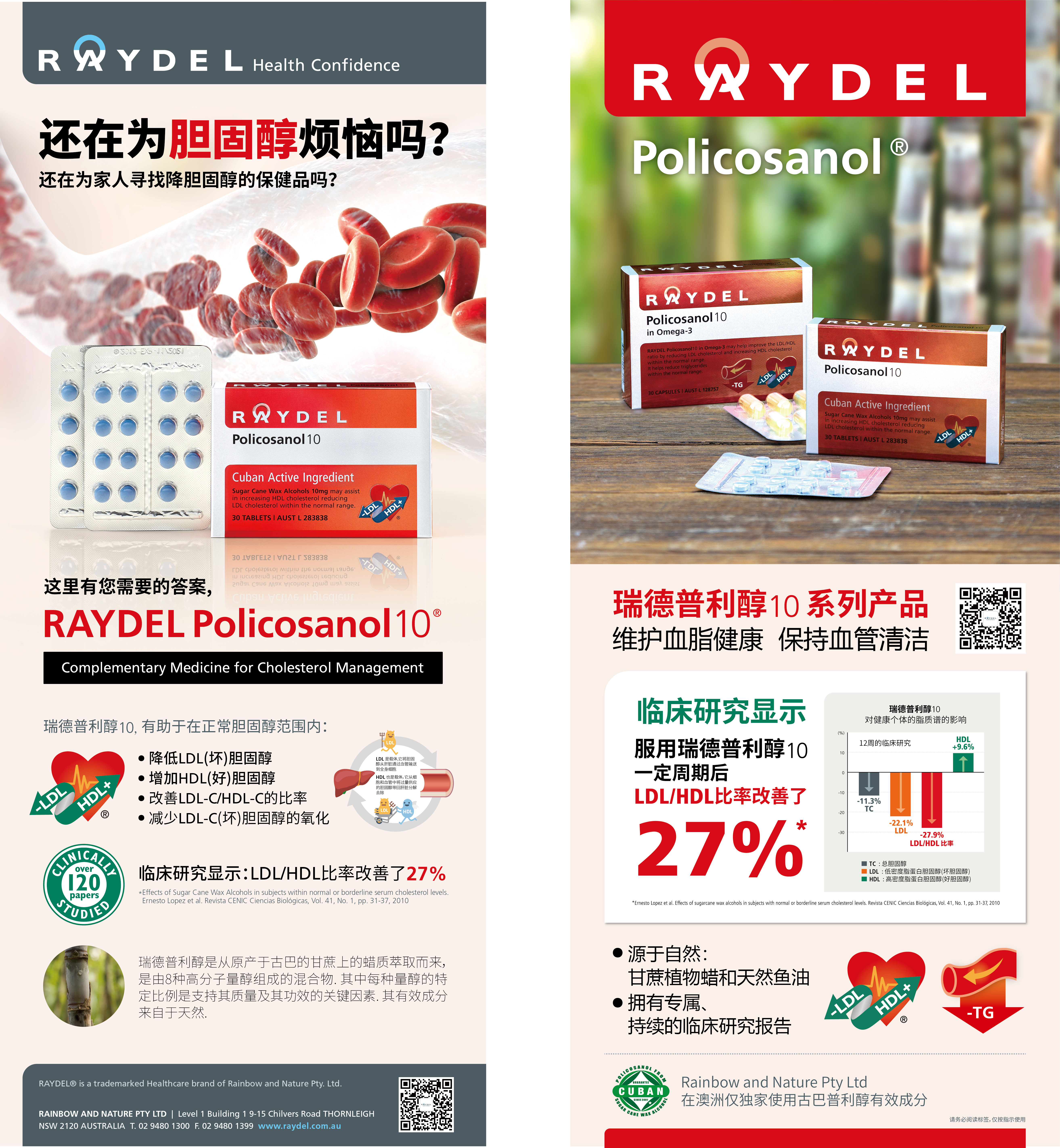 RAYDEL Chinese banner advertisement