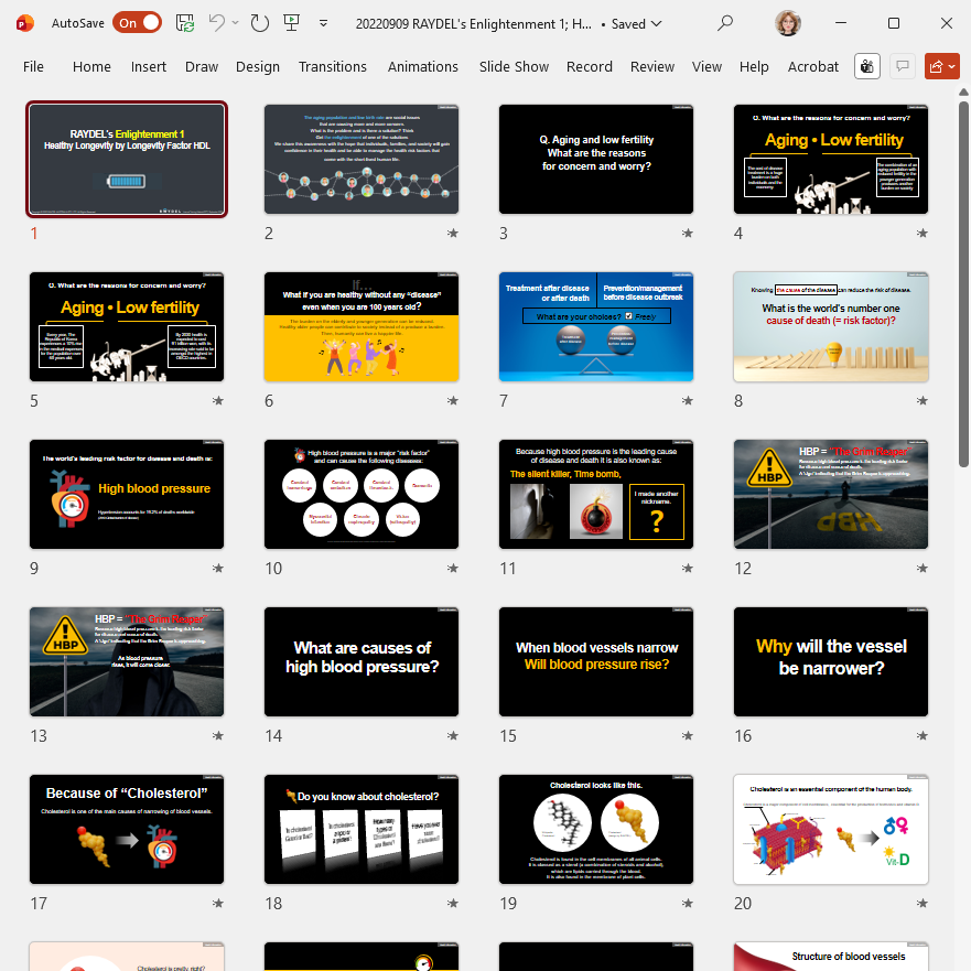 RAYDEL presentation design thumbnail